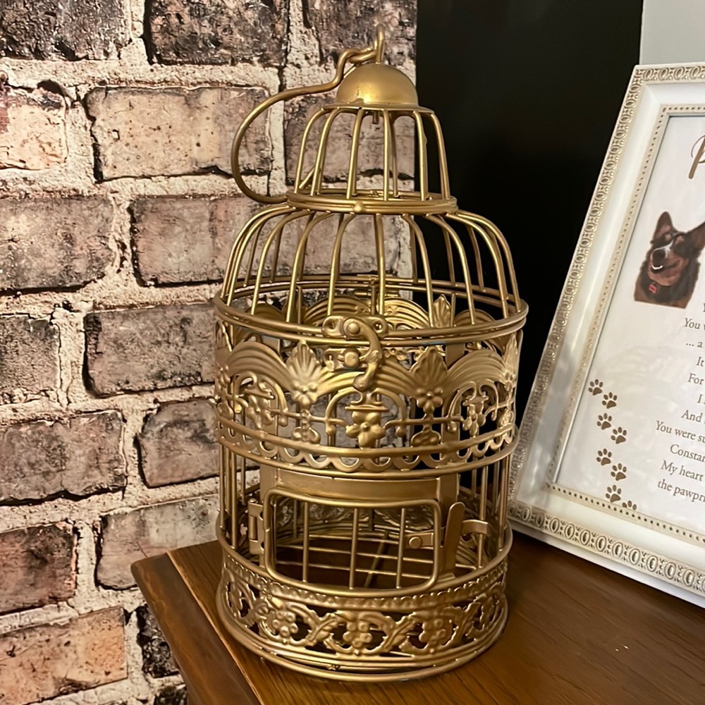 Decor use: gold bird cage